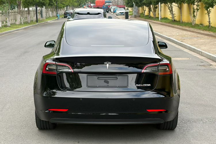 Tesla Model 3 2022 #9 Tesla Model 3 2022 car image #9