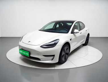 Tesla Model 3 2021 Tesla Model 3 2021 car image