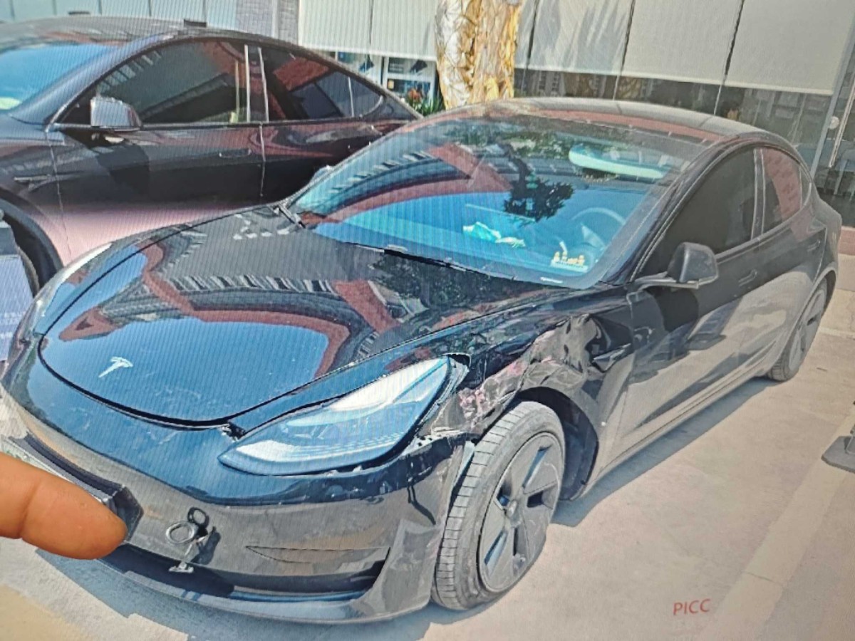 Tesla Model 3 2023 #8 Tesla Model 3 2023 car image #8