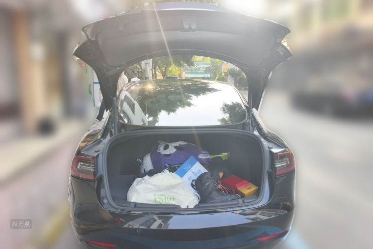 Tesla Model 3 2021 car image #21