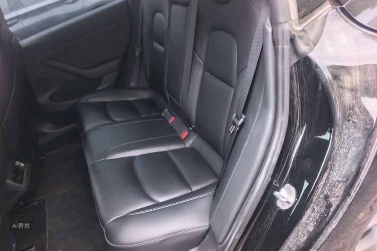 Tesla Model 3 2021 car image #19