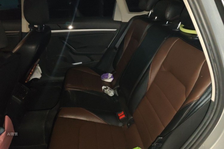 Volkswagen Lavida 2018 immagine di auto #19