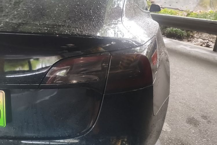 Tesla Model 3 2023 #8 Tesla Model 3 2023 car image #8