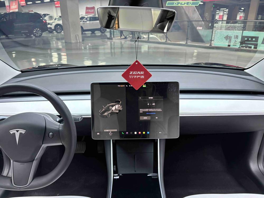 Tesla Model 3 2020 immagine di auto #22