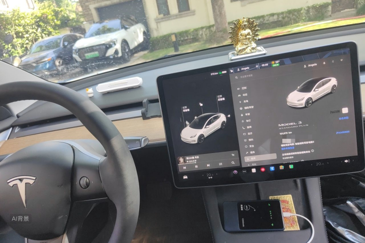 Tesla Model 3 2021 #13 Tesla Model 3 2021 car image #13