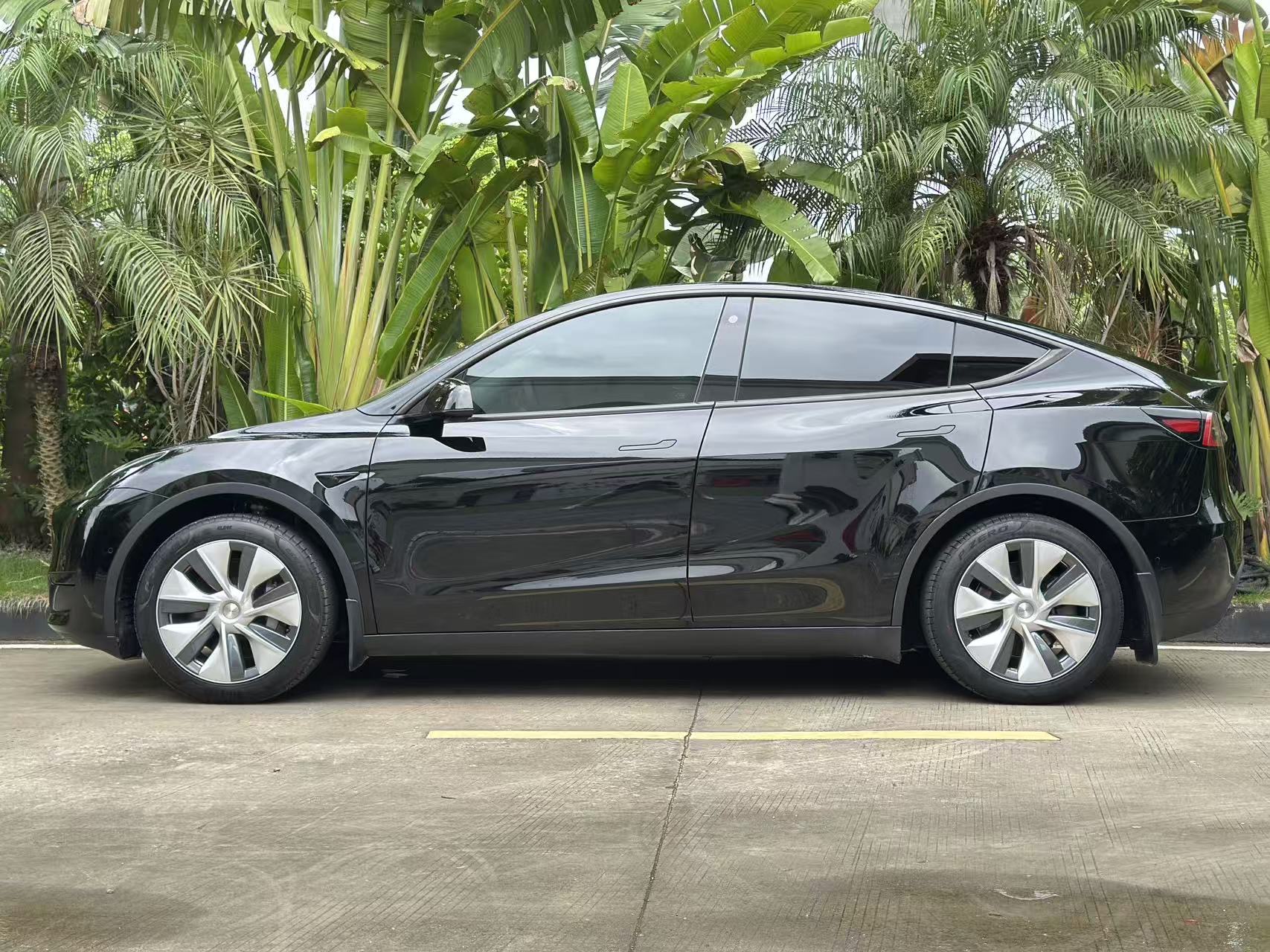 Tesla Model Y 2023 #3 Tesla Model Y 2023 car image #3