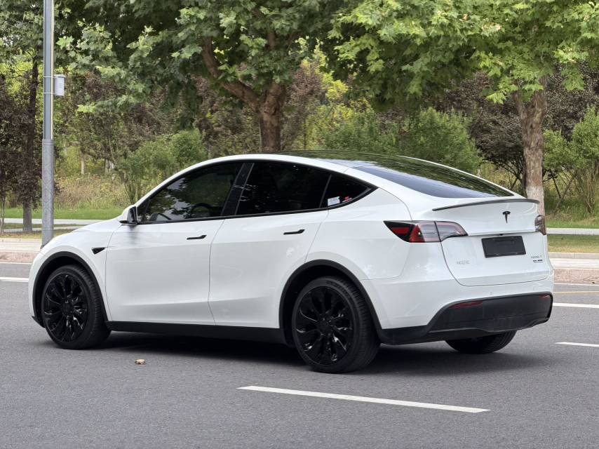Tesla Model Y 2024 car image #6