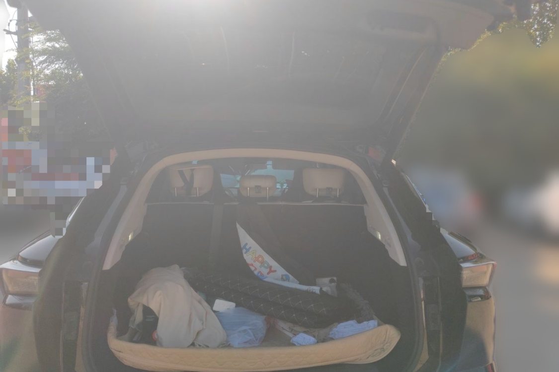 Jetour Dashing 2024 car image #8