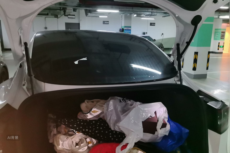 Tesla Model 3 2020 #21 Tesla Model 3 2020 car image #21