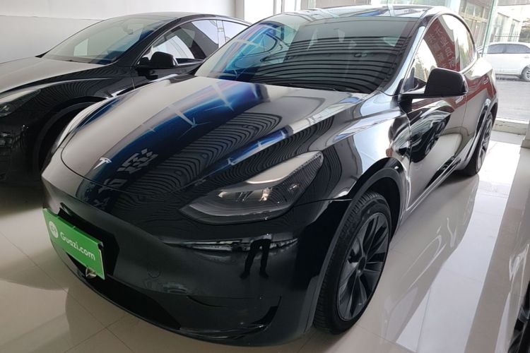Tesla Model Y 2024 immagine di auto #2