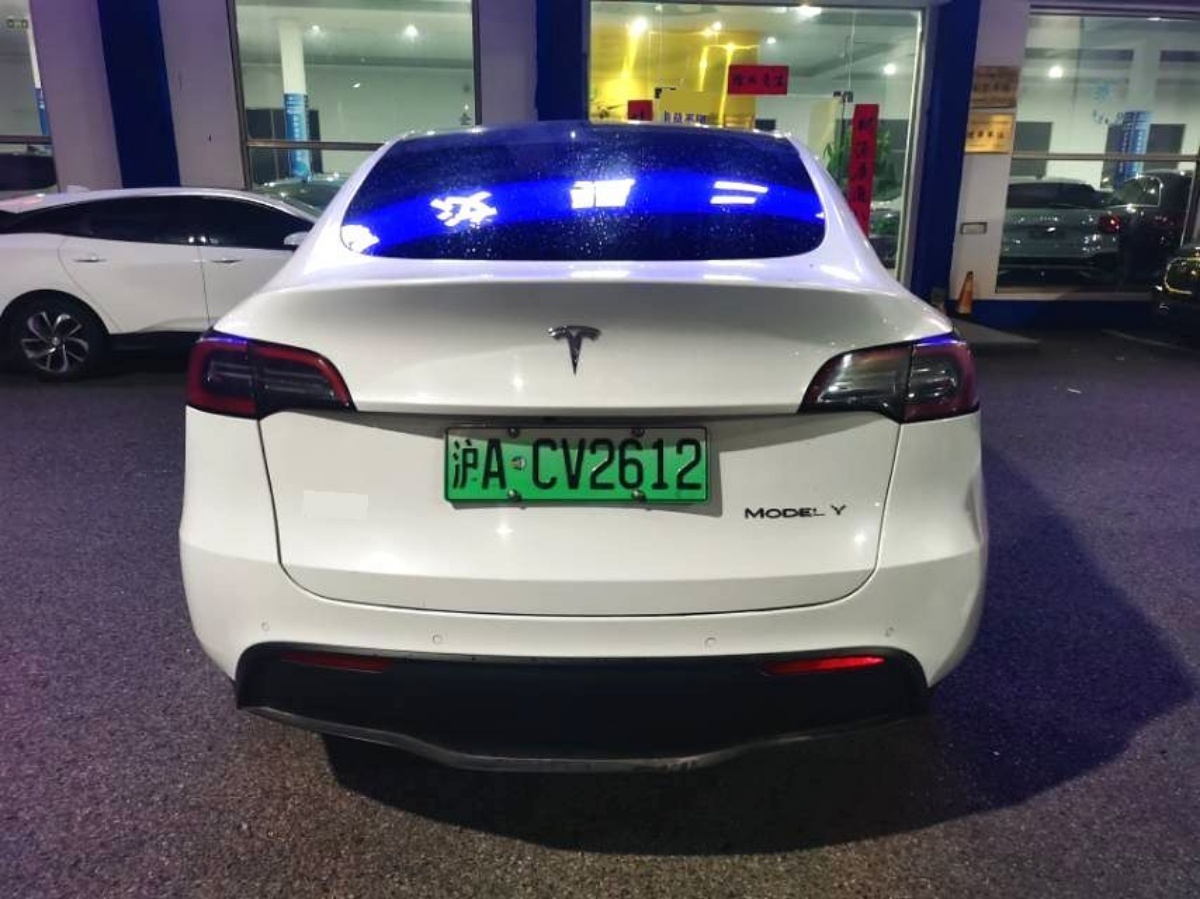 Tesla Model Y 2021 #5 Tesla Model Y 2021 car image #5
