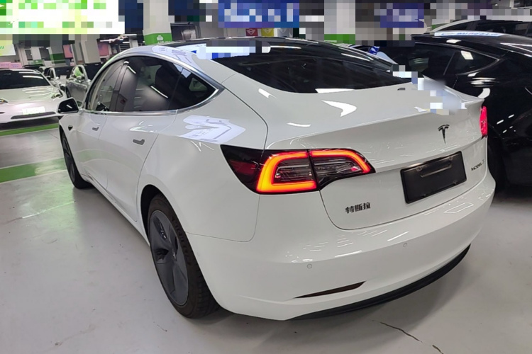 Tesla Model 3 2020 immagine di auto #5