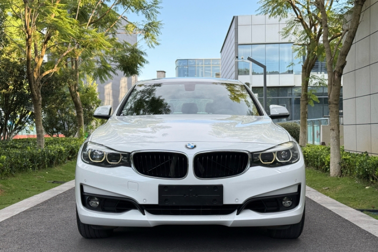 BMW 3 Series GT 2018 car image #7