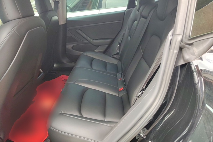 Tesla Model 3 2020 immagine di auto #13