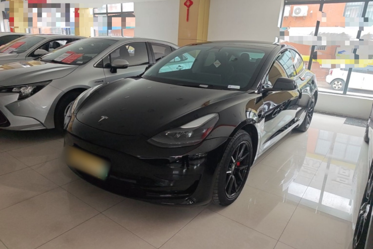 Tesla Model 3 2021 imagem de carro #2