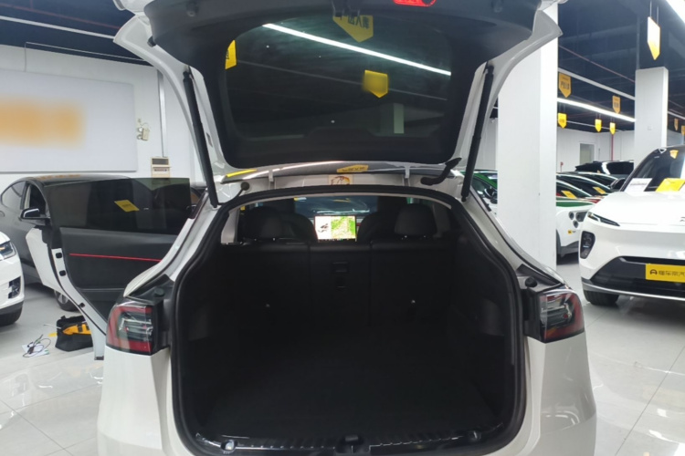 Tesla Model Y 2021 #19 Tesla Model Y 2021 car image #19
