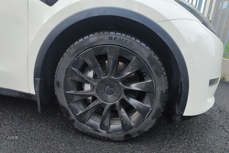 Tesla Model Y 2021 car image #9