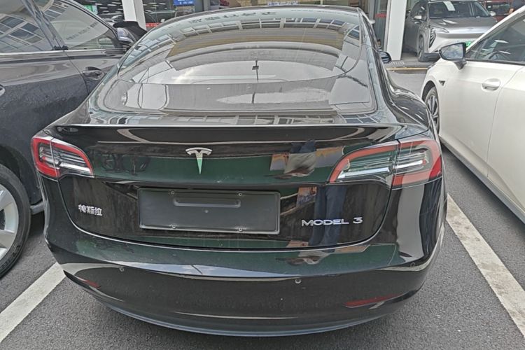 Tesla Model 3 2021 car image #6