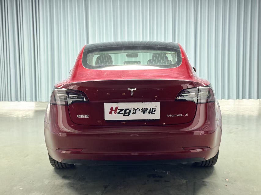 Tesla Model 3 2021 #7 Tesla Model 3 2021 image de voiture #7