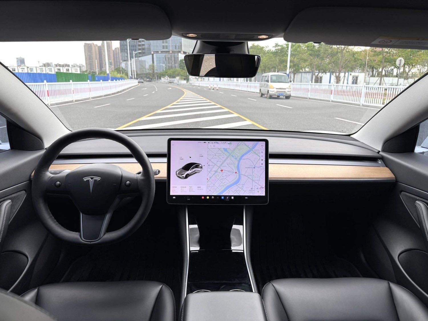 Tesla Model 3 2020 immagine di auto #5