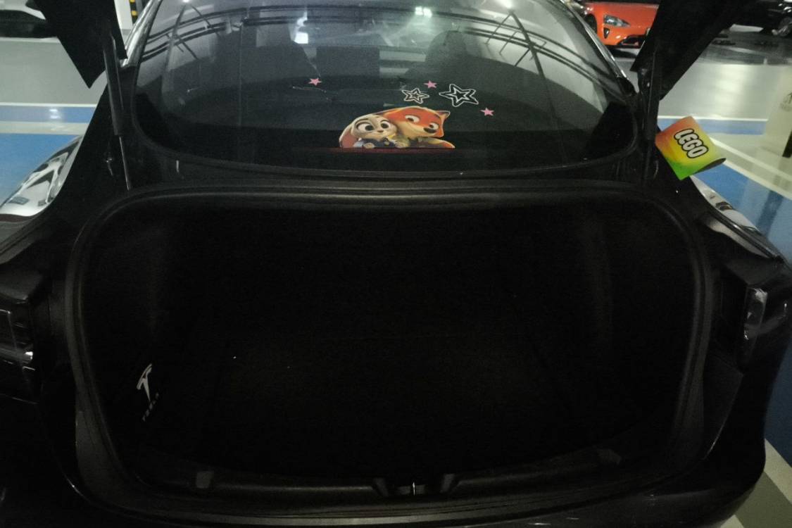 Tesla Model 3 2020 #8 Tesla Model 3 2020 imagen de coche #8
