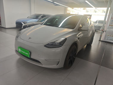 Tesla Model Y 2024 Tesla Model Y 2024 car image
