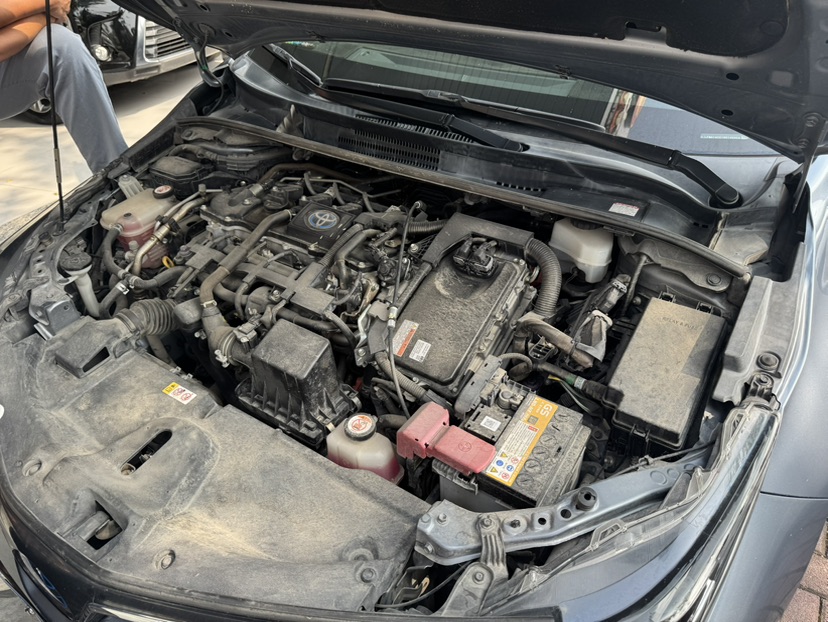 Toyota Corolla 2022 car image #8