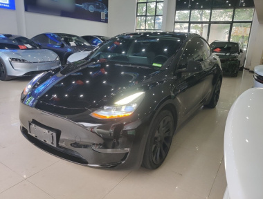 Tesla Model Y 2021 car image 