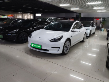 Tesla Model 3 2023 Tesla Model 3 2023 car image