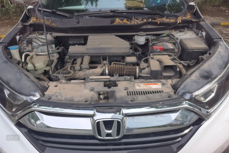 Honda CR-V 2019 #22 Honda CR-V 2019 car image #22