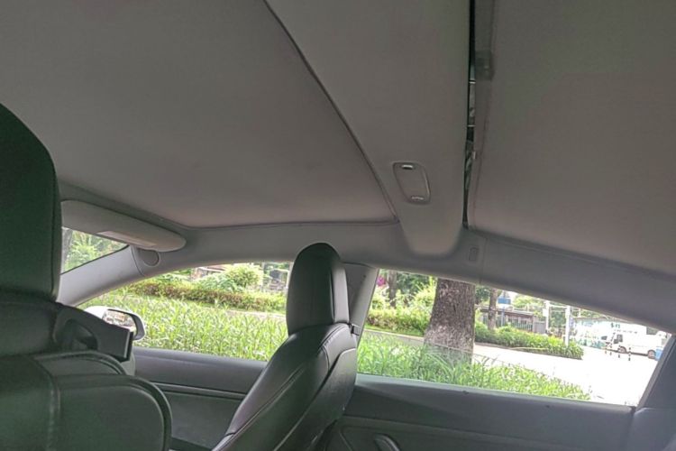 Tesla Model 3 2019 #20 Tesla Model 3 2019 car image #20