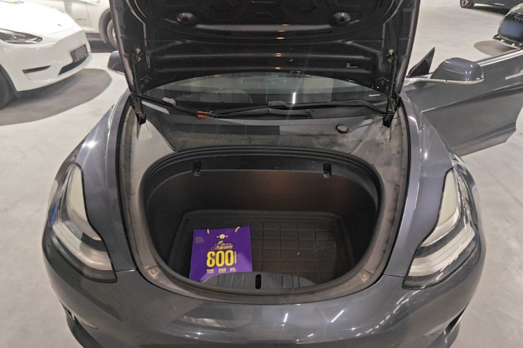 Tesla Model 3 2020 car image #20