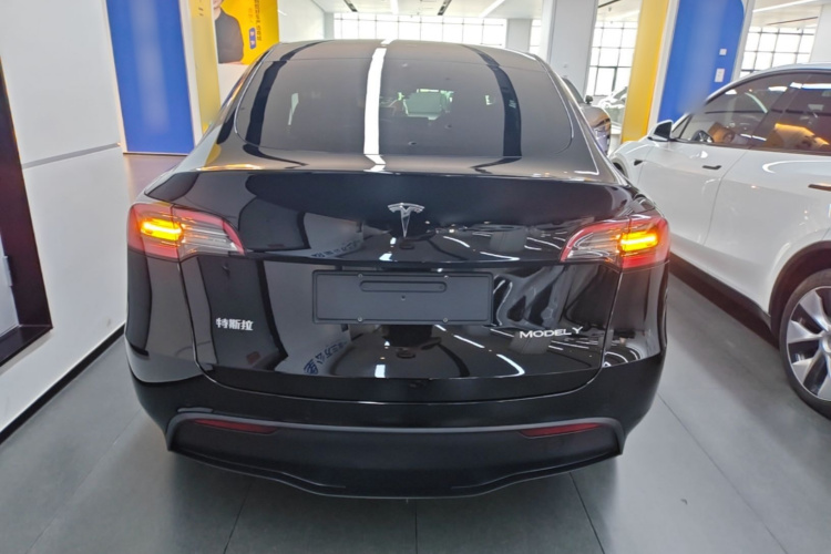 Tesla Model Y 2023 #6 Tesla Model Y 2023 car image #6