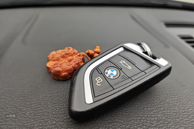 BMW X1 2017 car image #10
