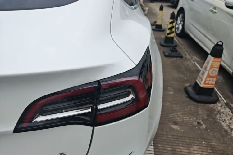 Tesla Model 3 2020 #8 Tesla Model 3 2020 car image #8