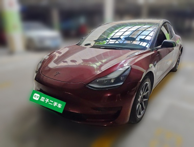 Tesla Model 3 2021 car image 