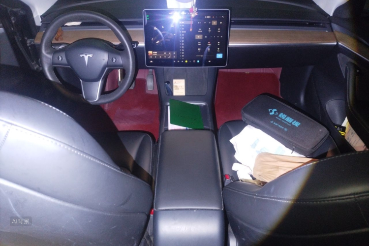 Tesla Model 3 2021 #15 Tesla Model 3 2021 صورة سيارة #15