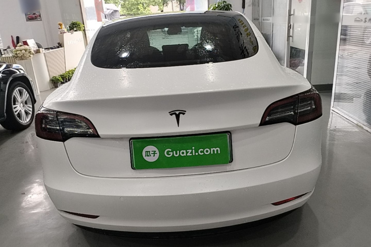 Tesla Model 3 2021 #6 Tesla Model 3 2021 car image #6