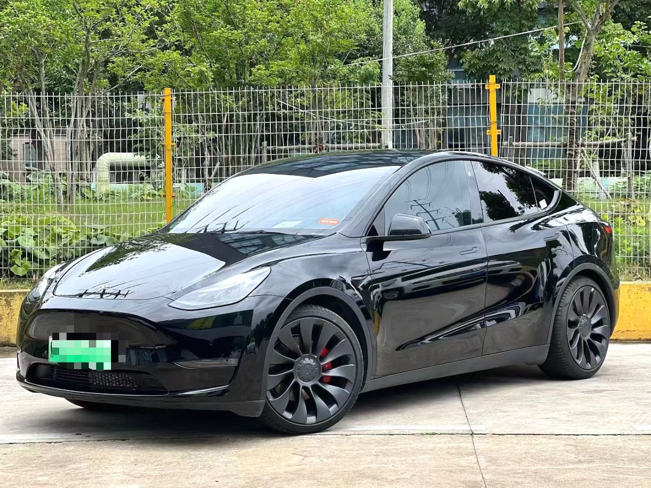 Tesla Model Y 2024 car image 