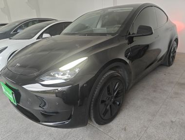 Tesla Model Y 2023 car image 