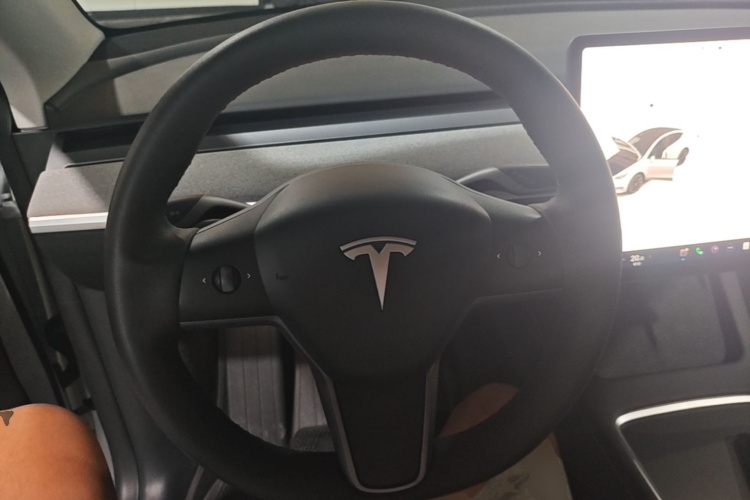 Tesla Model Y 2023 car image #11
