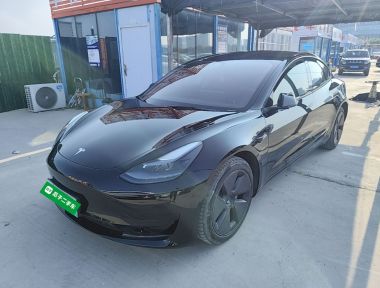 Tesla Model 3 2021 Tesla Model 3 2021 immagine di auto