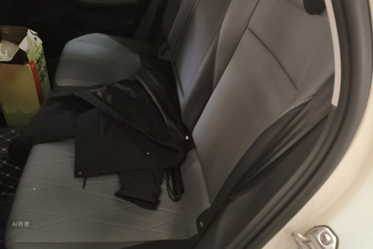 Volkswagen Lavida 2023 car image #19