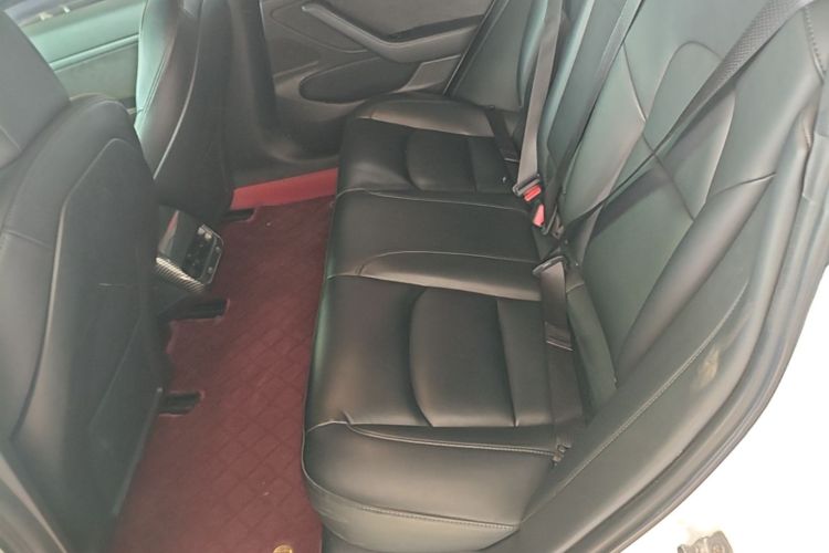 Tesla Model 3 2020 immagine di auto #13