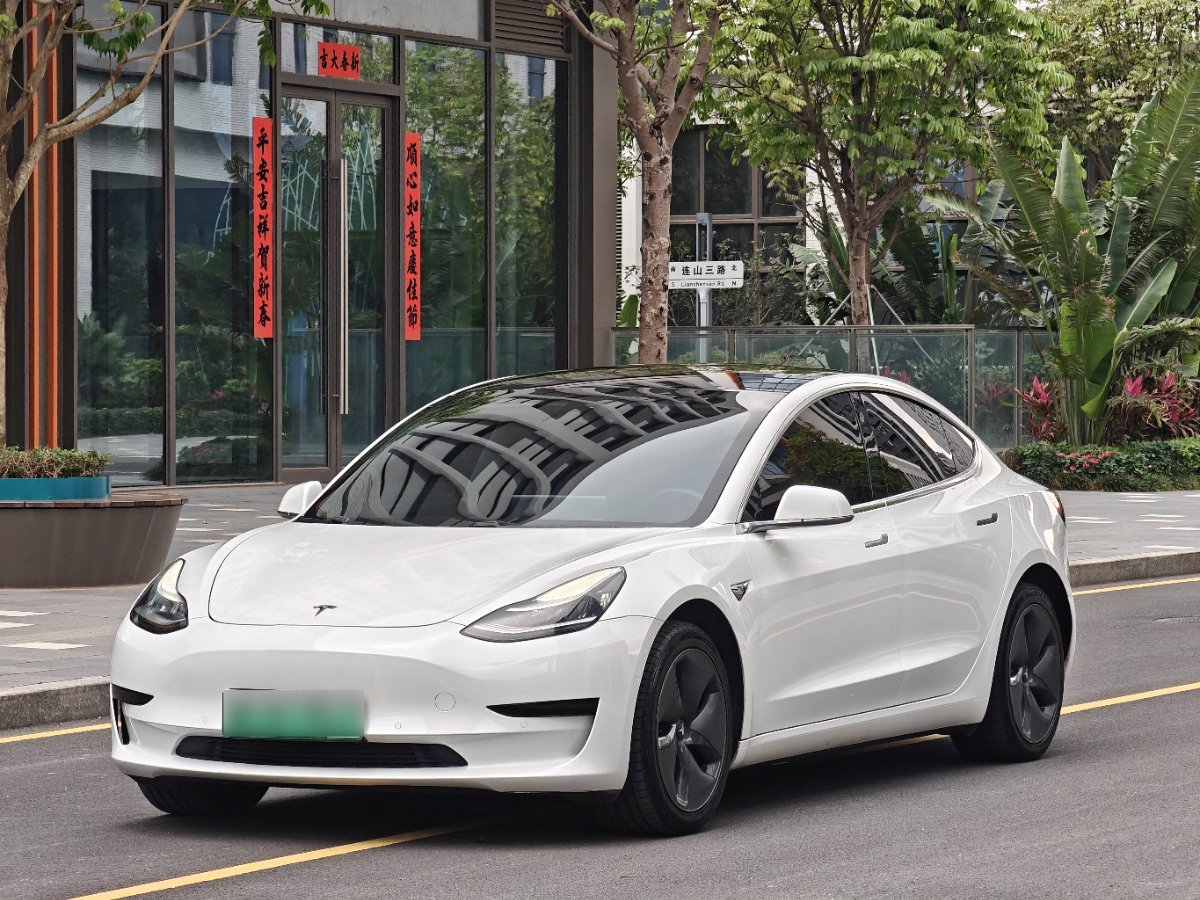 Tesla Model 3 2020 Tesla Model 3 2020 car image