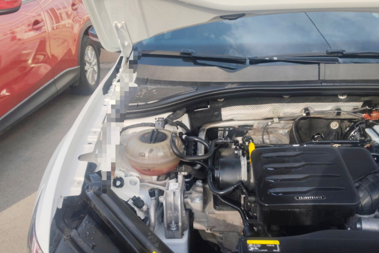 Volkswagen Bora 2019 car image #23