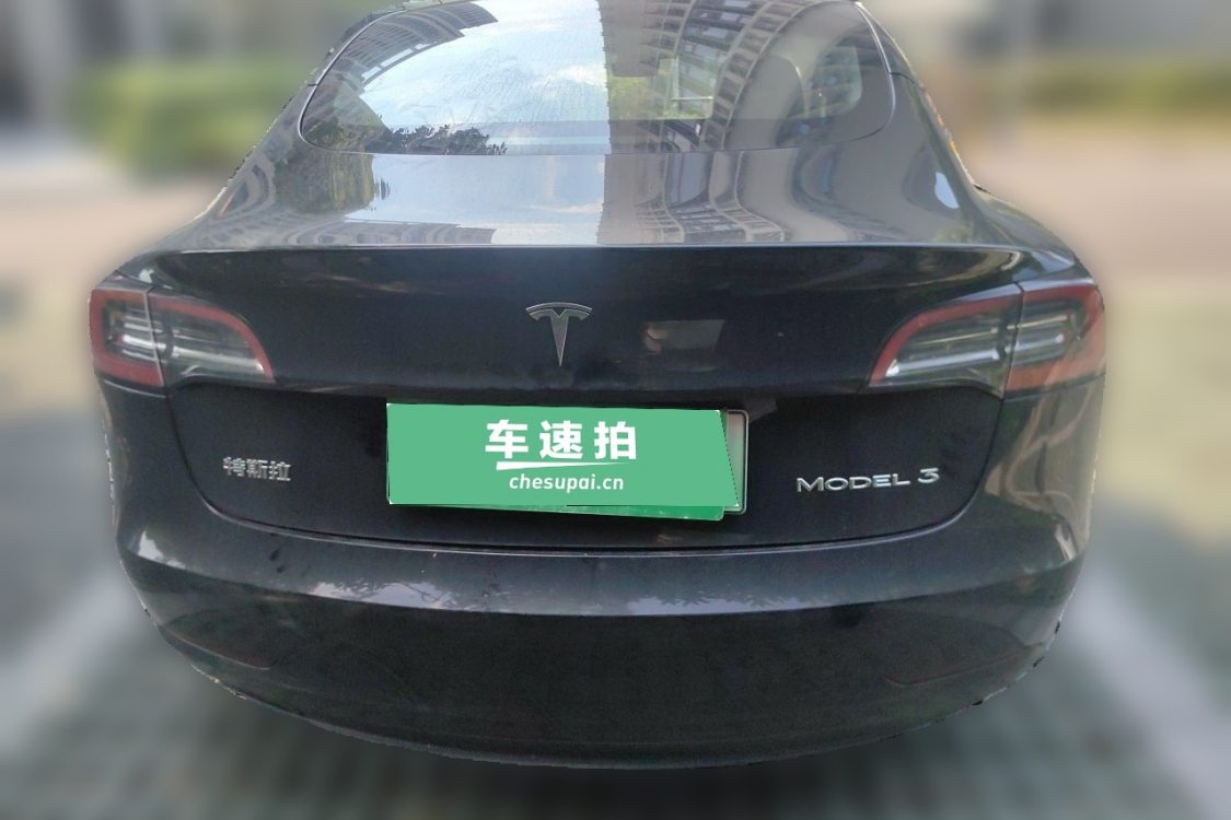Tesla Model 3 2021 imagem de carro #6