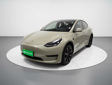 Tesla Model Y 2021 Tesla Model Y 2021 car image
