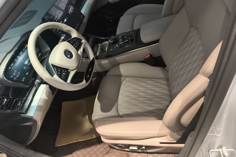 BYD Han 2024 imagen de coche #23