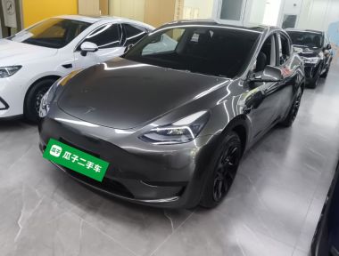 Tesla Model Y 2022 Tesla Model Y 2022 car image